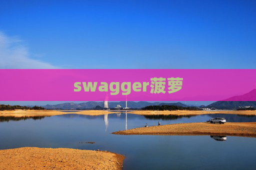 swagger菠萝