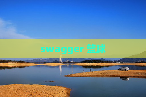 swagger 篮球 swagger 篮球